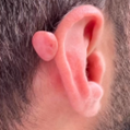 תמונה3